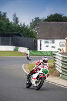 White Bikes